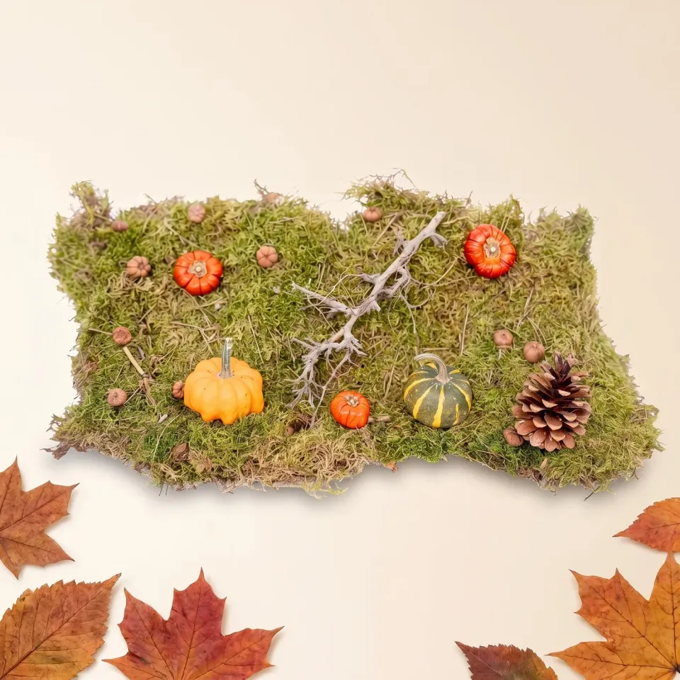 Urbanjungl Herfst deco kit Medium echte pompoen 6 cm