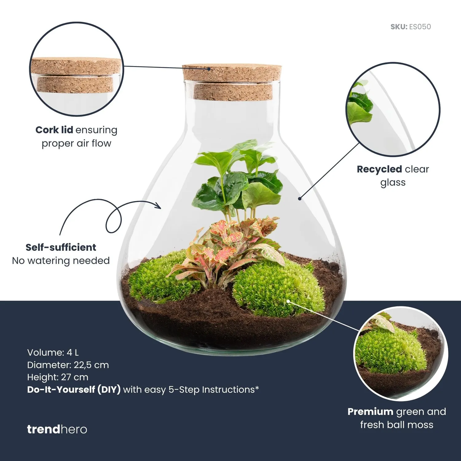 Urbanjungl Sammie Coffea Ruby Lime terrarium 22,5 cm diy kit