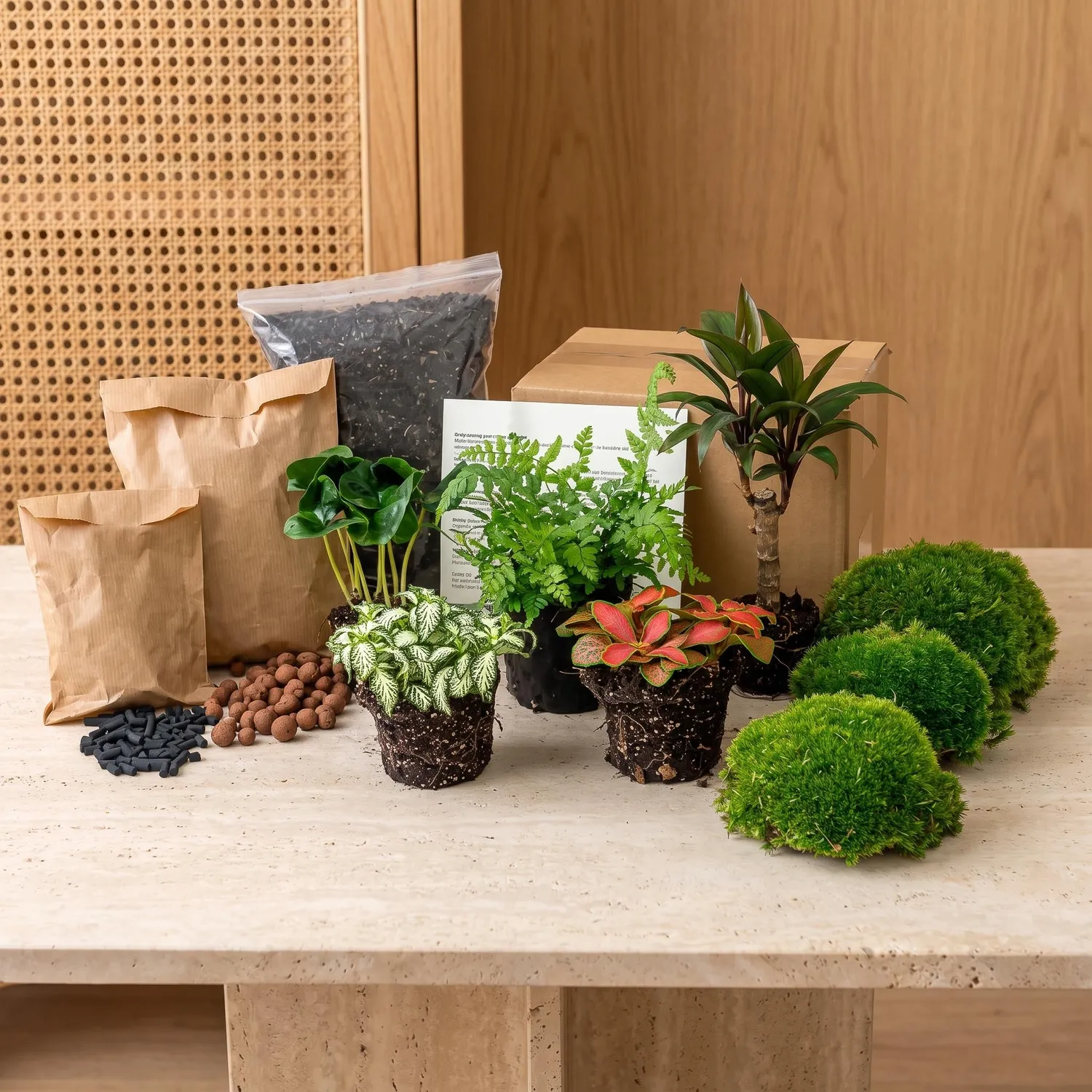 Urbanjungl Jungle 5 terrarium navulpakket 5 planten XL