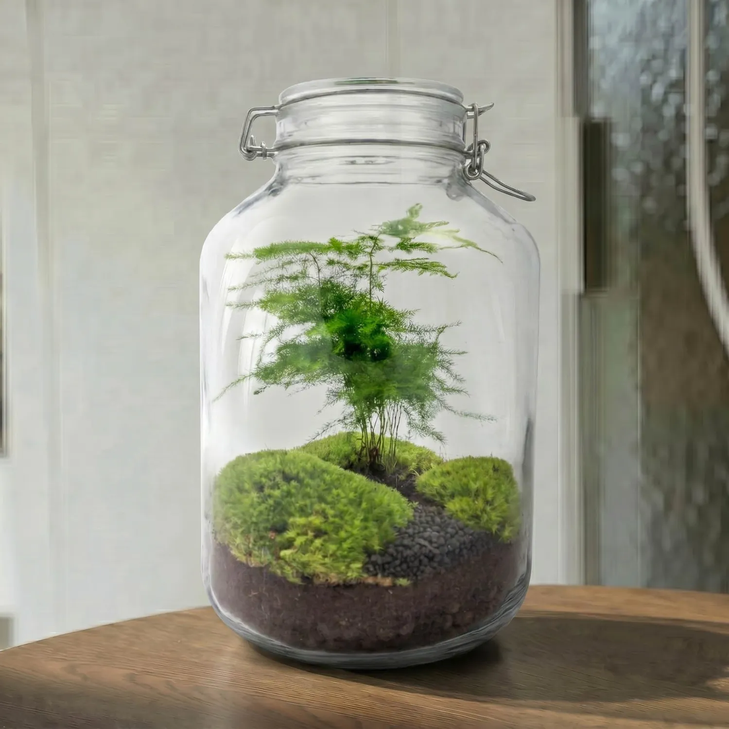 Urbanjungl Jar Bonsai terrarium weckpot DIY kit 18x28 cm