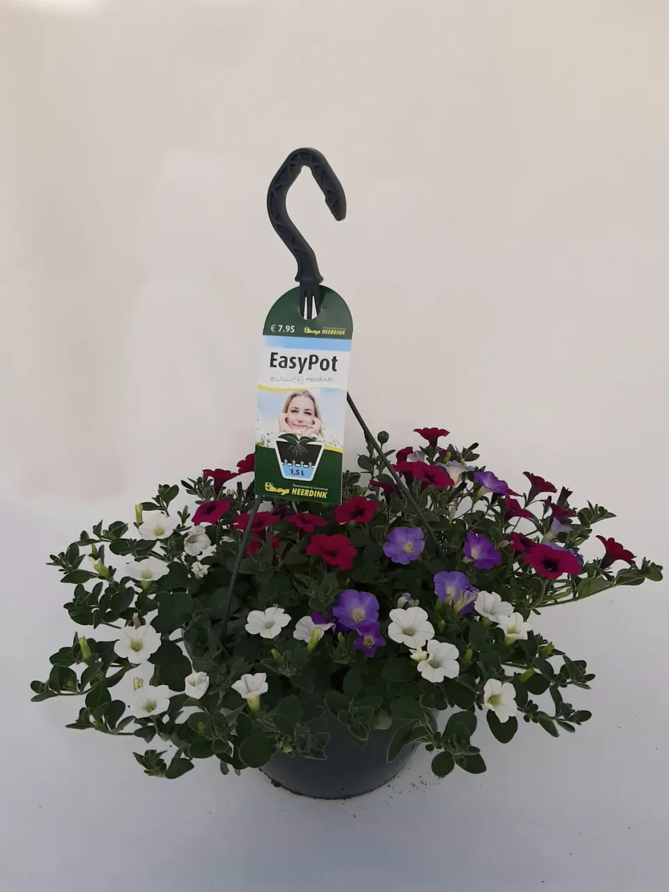 Hanging Basket Mix 4 hangplanten balkon zon