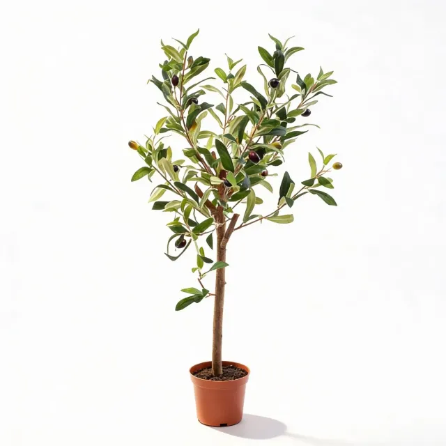 Urbanjungl Olijfboom Kunstplant in Pot 65 cm