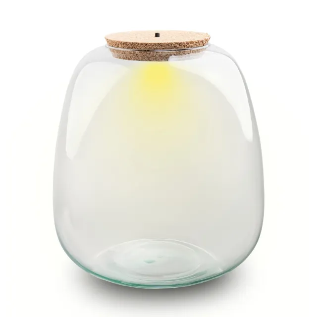 Urbanjungl Emma terrarium fles Ø23 cm met led-kurk 8L