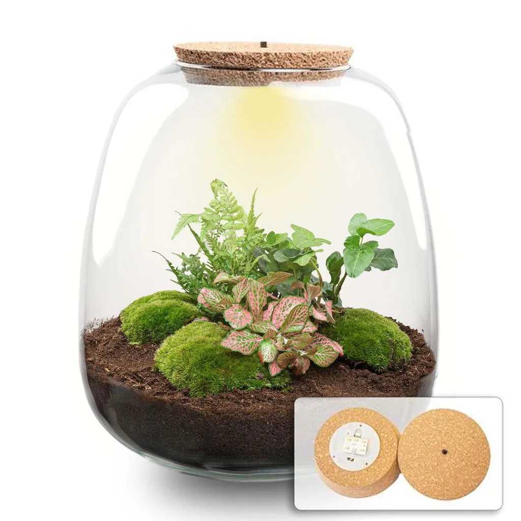 Urbanjungl Emma Terrarium met licht Ø23 cm hedera