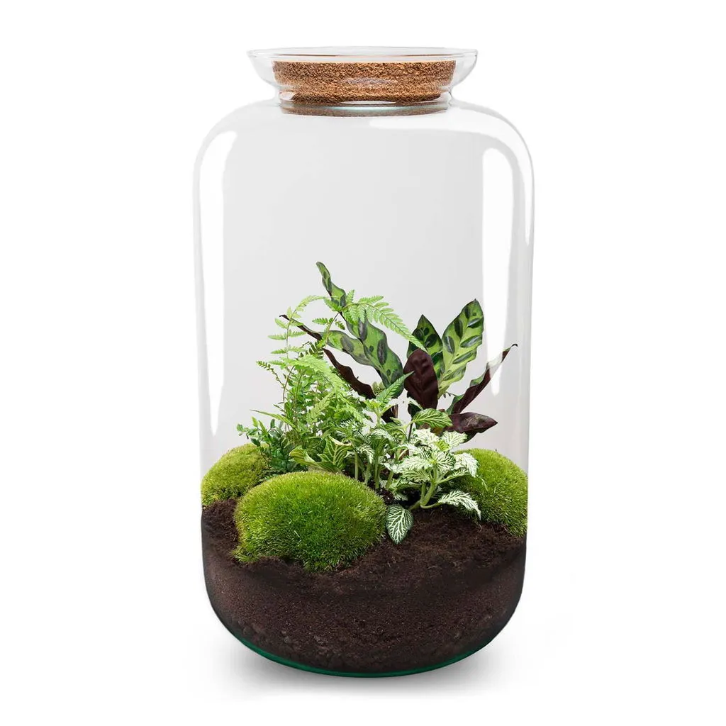 Urbanjungl Sven XL Botanisch planten terrarium LED