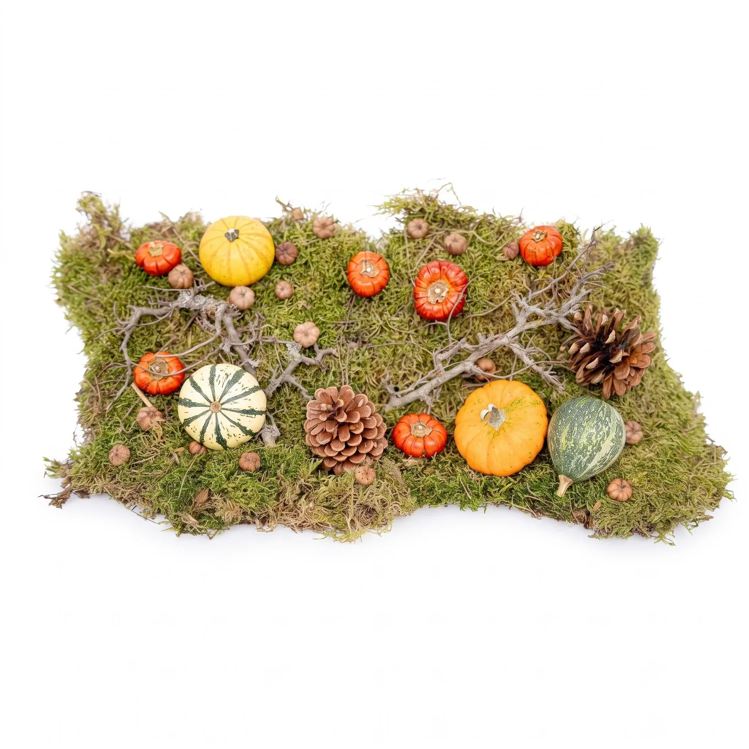 Urbanjungl Herfst deco set echte pompoenen Ø 6 cm natuurlijk