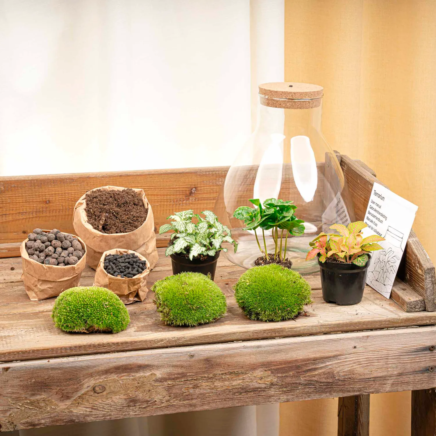 Urbanjungl Sam Coffea plantenterrarium DIY kit met licht 24 cm
