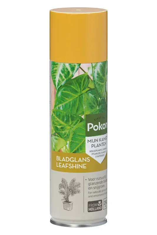 Tuincentrum Heerdink bladglans spray 250 ml