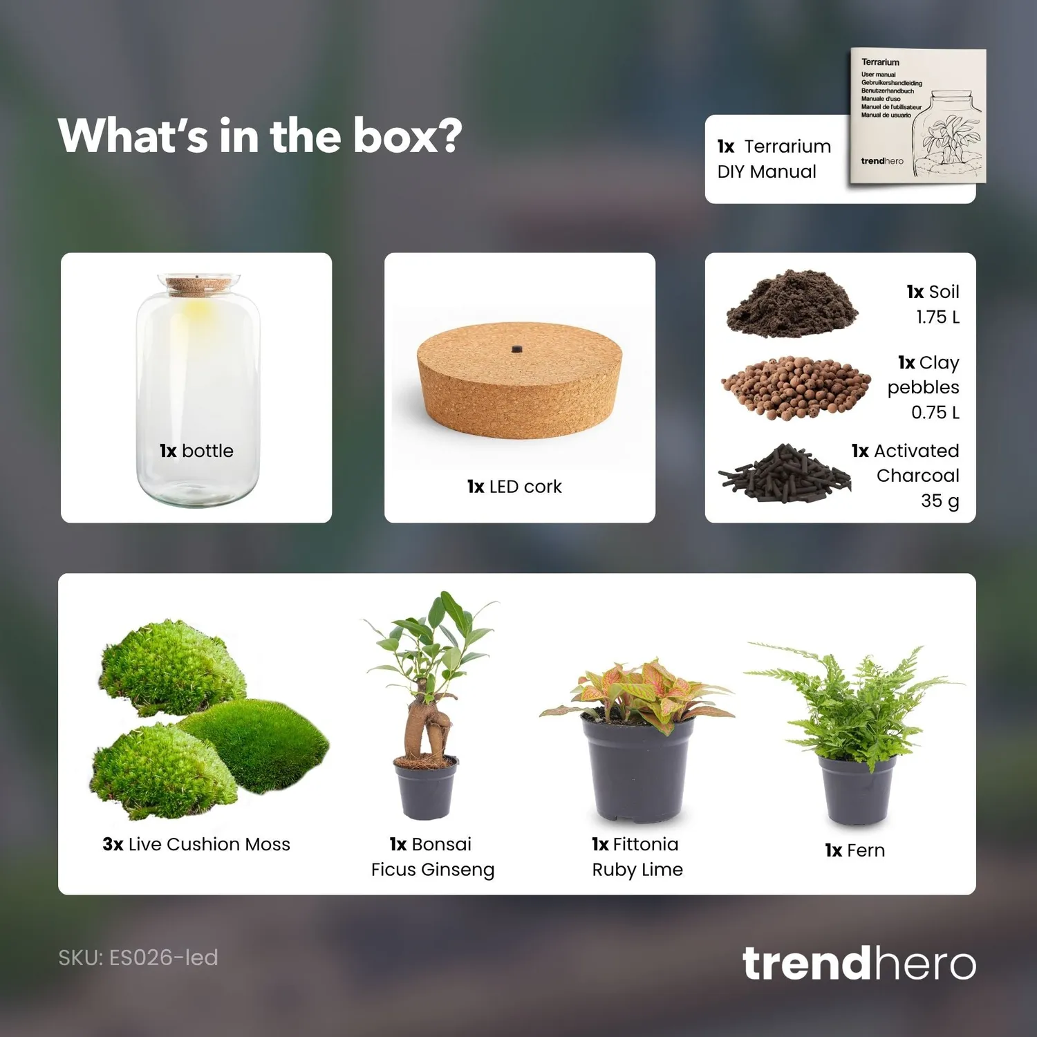 Urbanjungl Sven XL Bonsai terrarium DIY kit Ø 23 cm licht