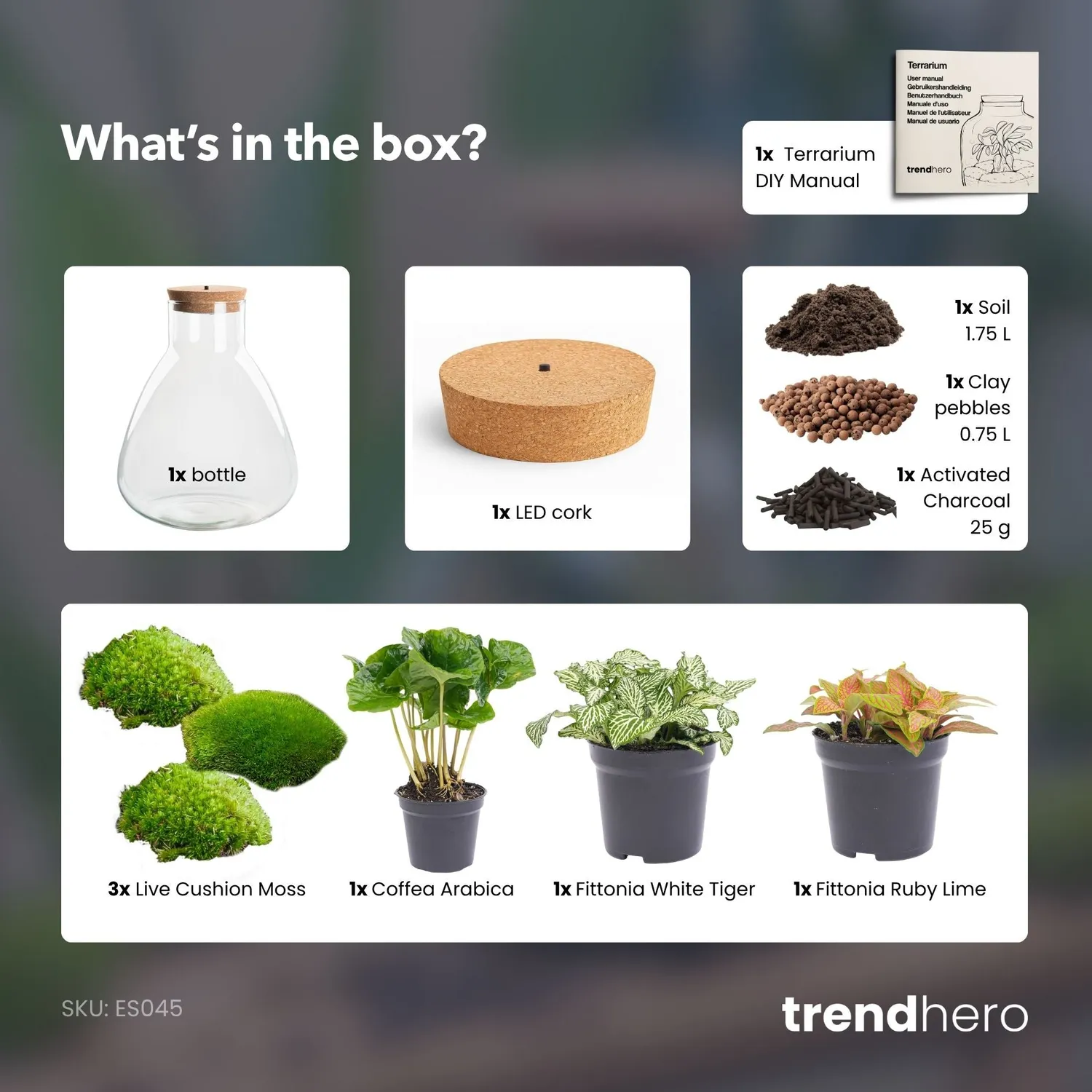 Urbanjungl Sam Coffea plantenterrarium DIY kit met licht 24 cm