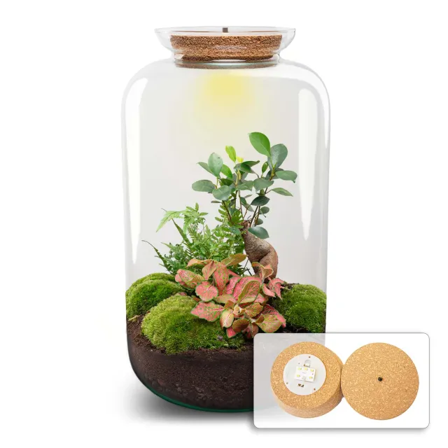 Urbanjungl Sven XL Bonsai terrarium DIY kit Ø 23 cm licht
