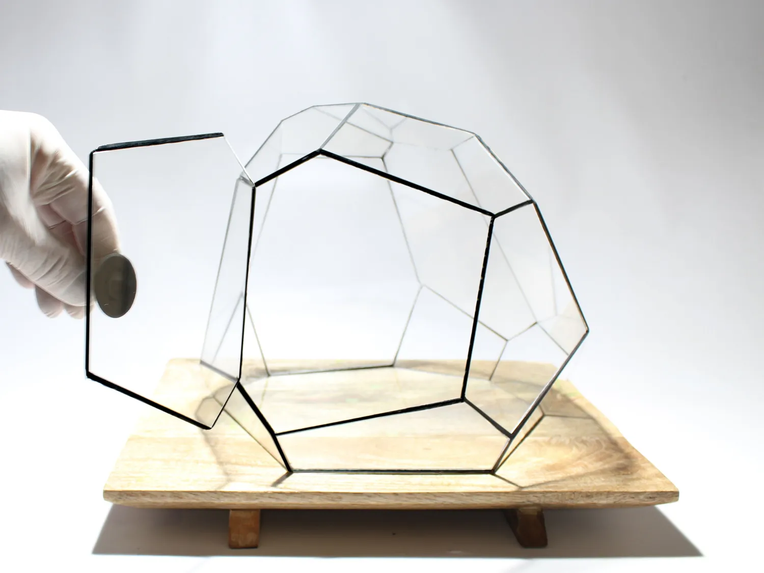 Urbanjungl Torno geometric terrarium glas 28x26x24 cm