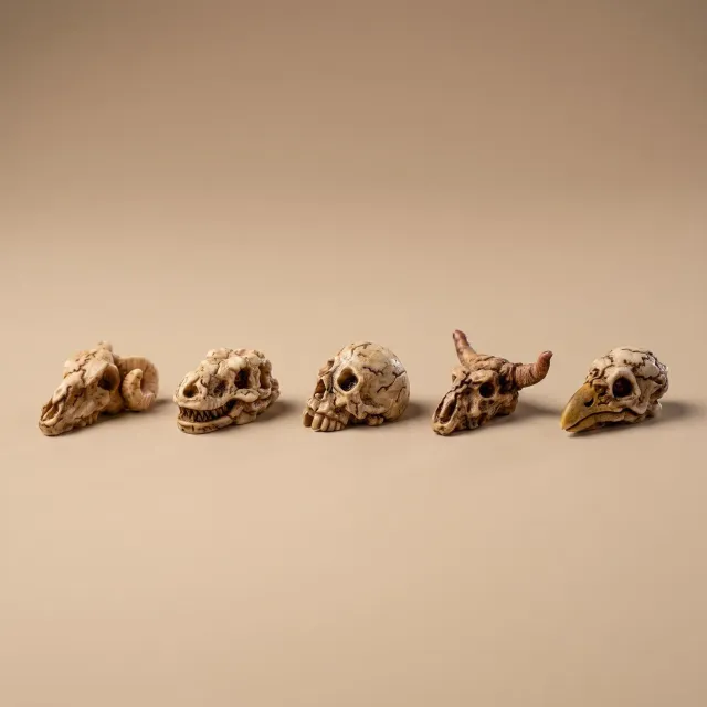Urbanjungl Mini Skull Schedels Halloween Deco 5 Stuks 2 cm