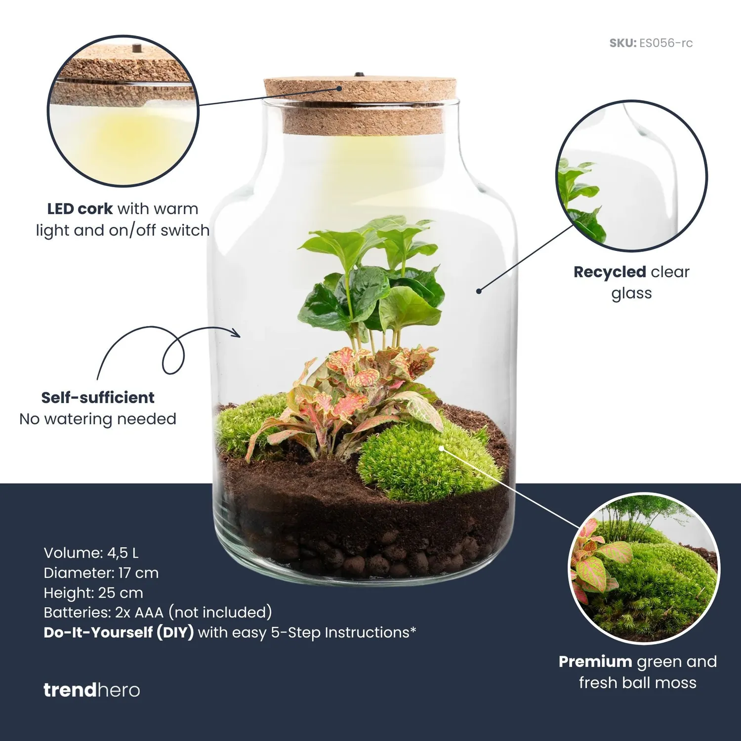Urbanjungl Little Milky terrarium DIY kit Coffea Fittonia Ø17cm