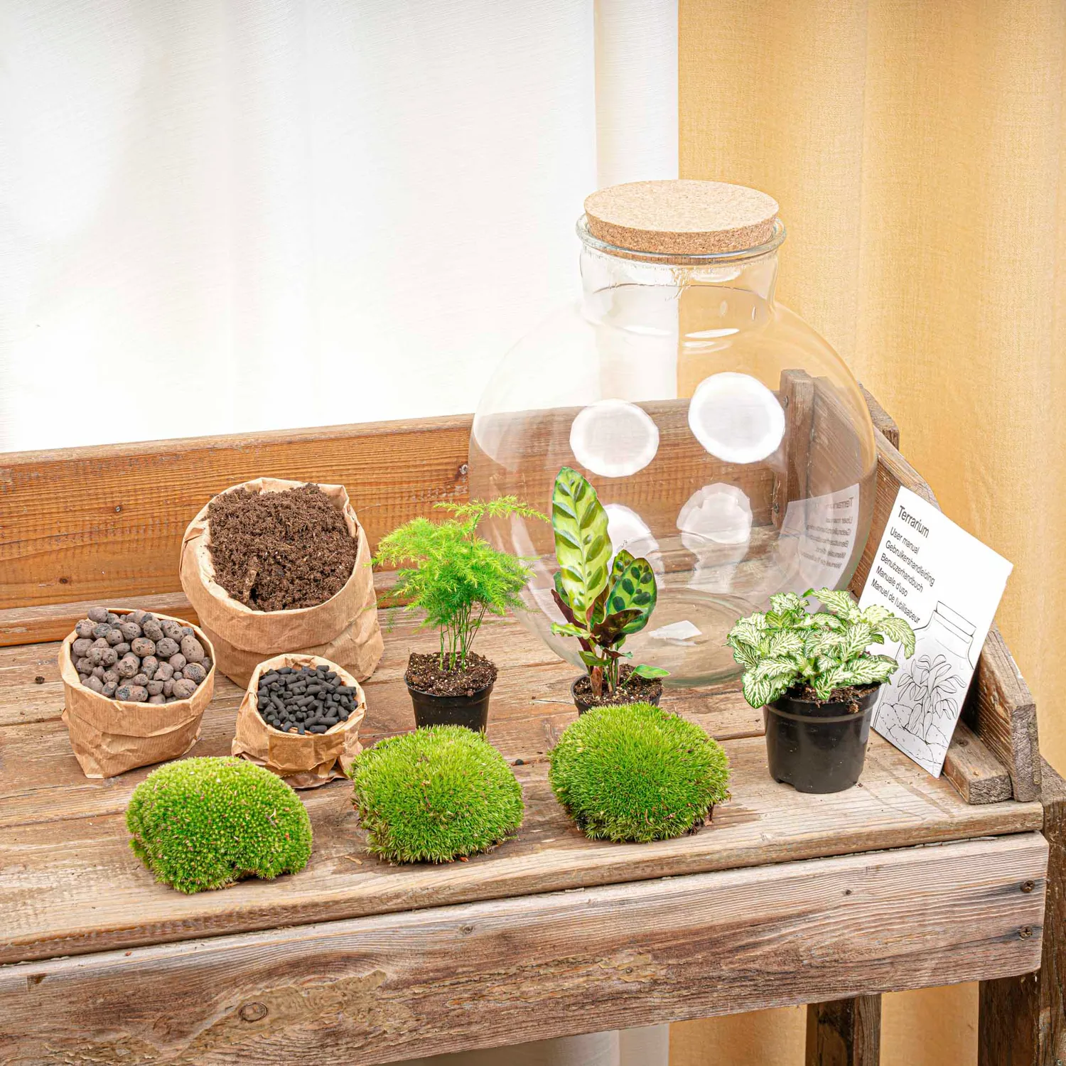 Urbanjungl Bolder Bob planten terrarium kit 31 cm met licht