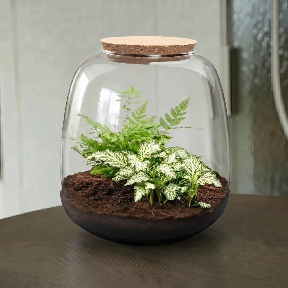 Urbanjungl Emma Mini terrarium DIY kit met kurk Ø19 cm