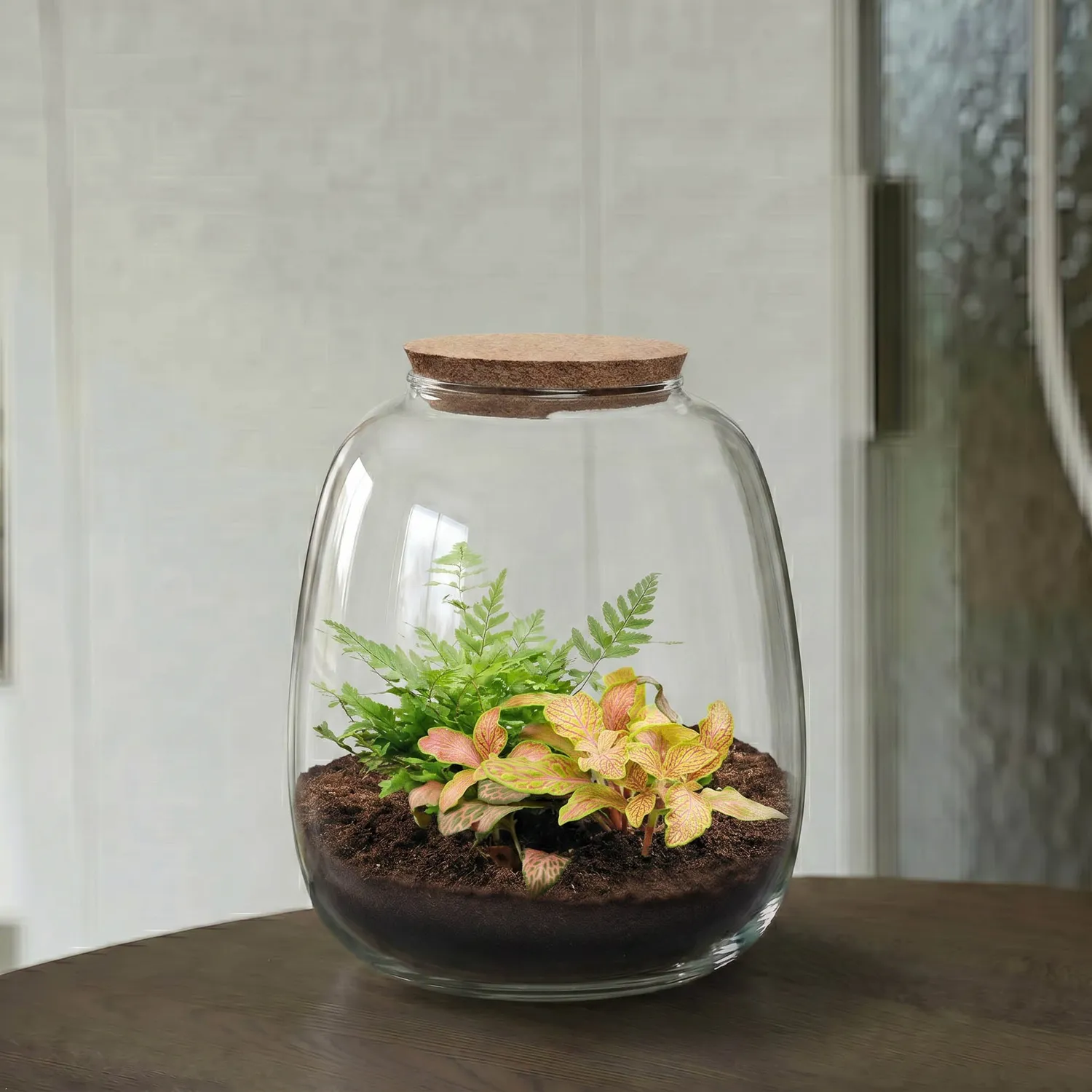 Emma Mini terrarium DIY kit Fittonia 19 cm met kurk