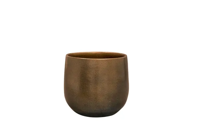 Tuincentrum Heerdink Esra Bloempot Champagne D15 H13 Keramiek