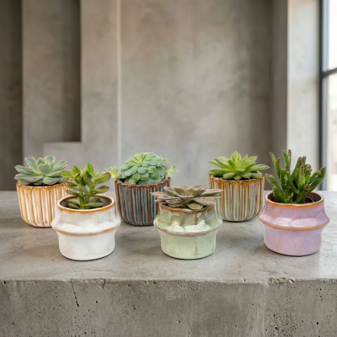 Urbanjungl Barcelona succulenten set 6 keramiek 8-12 cm