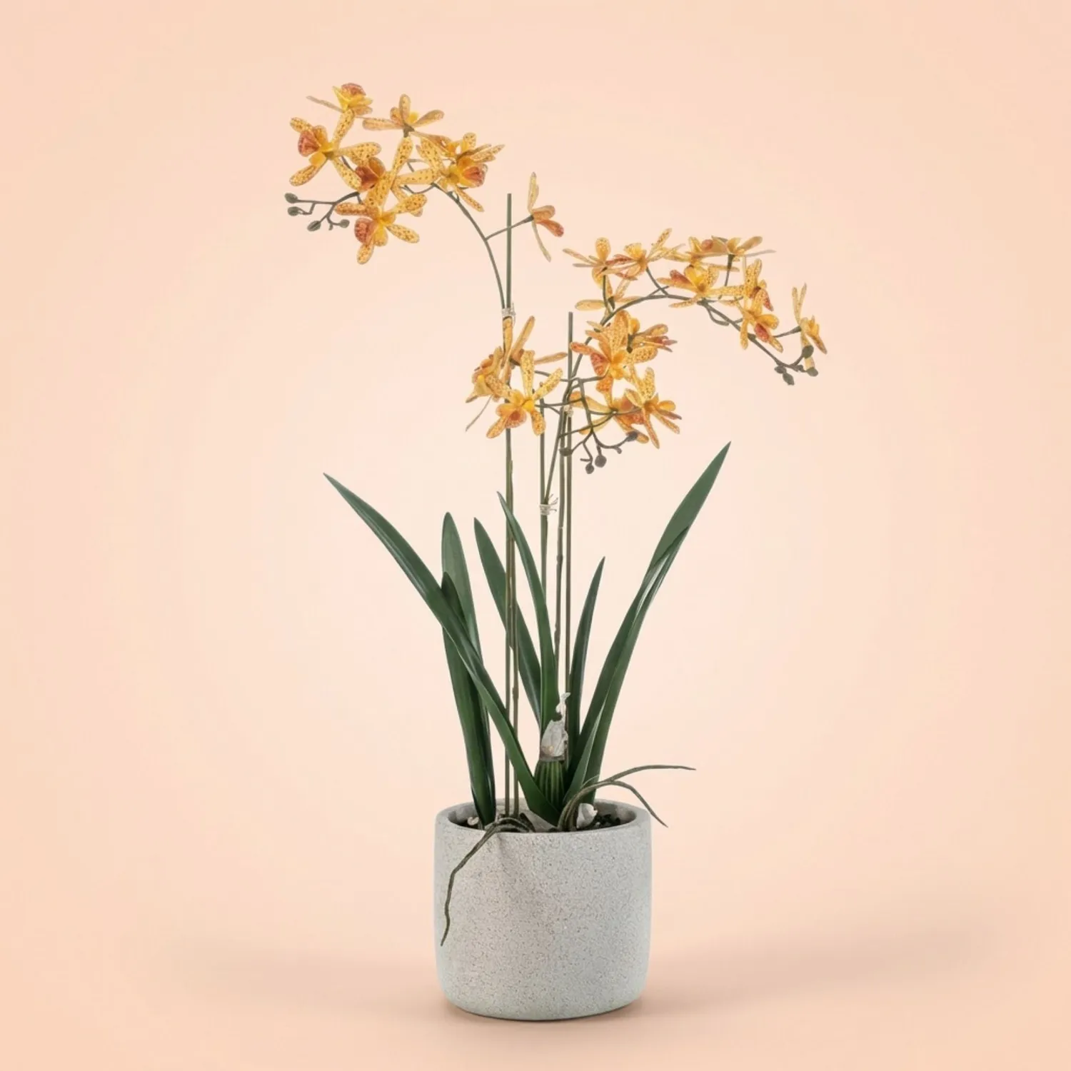 Urbanjungl Renanthera orchidee kunstplant 56 cm geel oranje