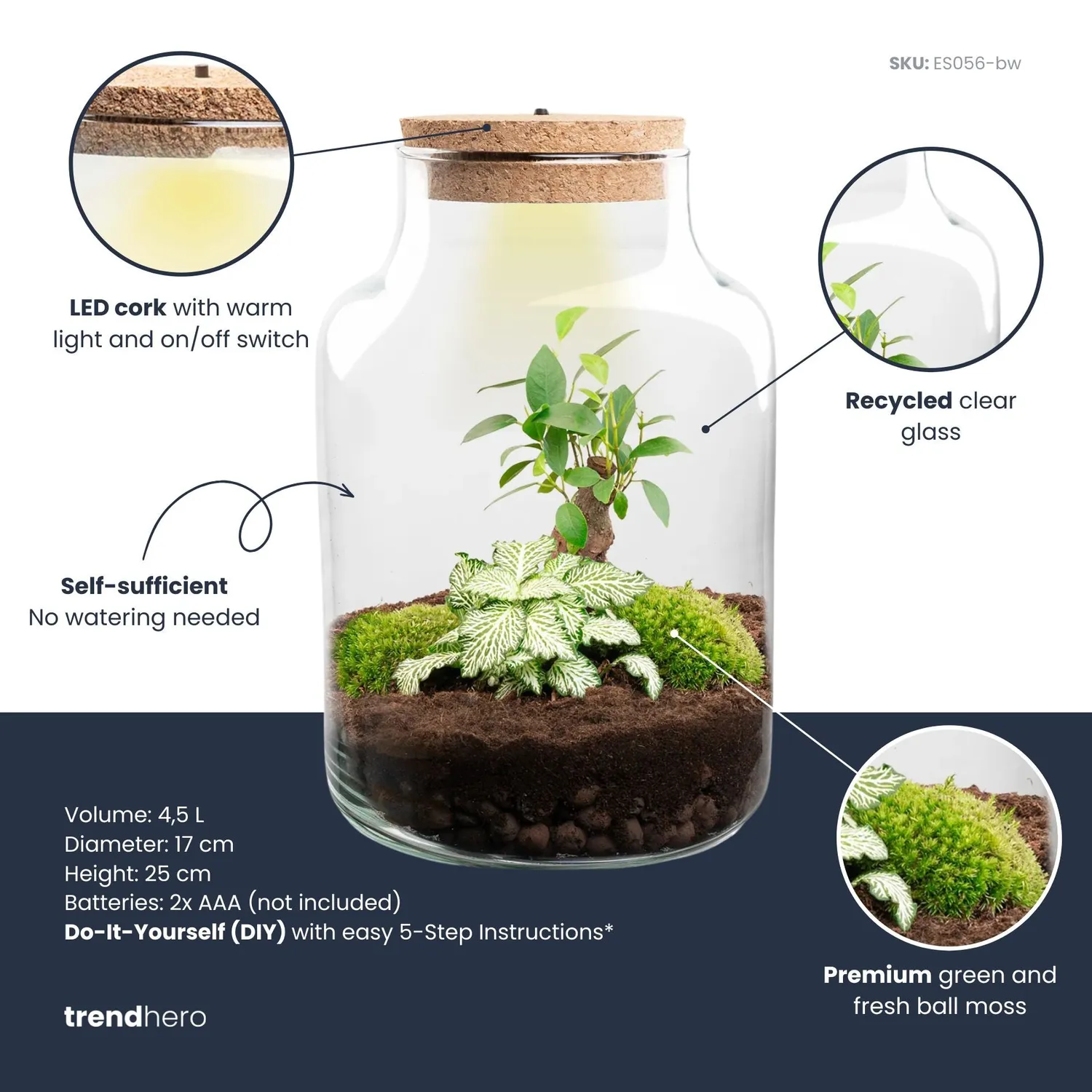 Urbanjungl Little Milky plantenterrarium DIY kit met licht 17 cm