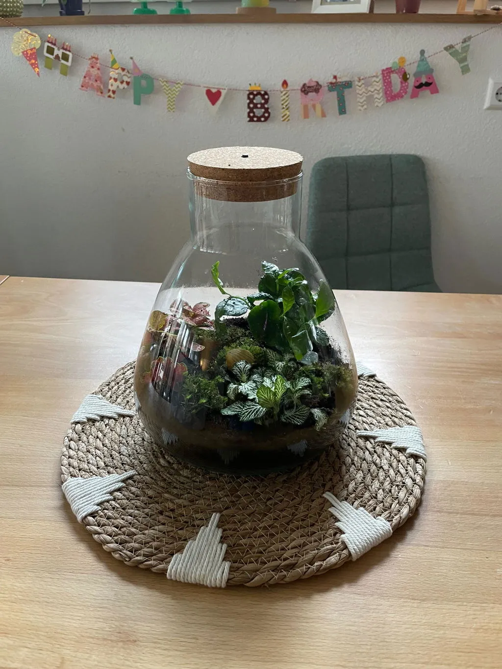 Urbanjungl Emma Mini terrarium DIY kit met kurk Ø19 cm