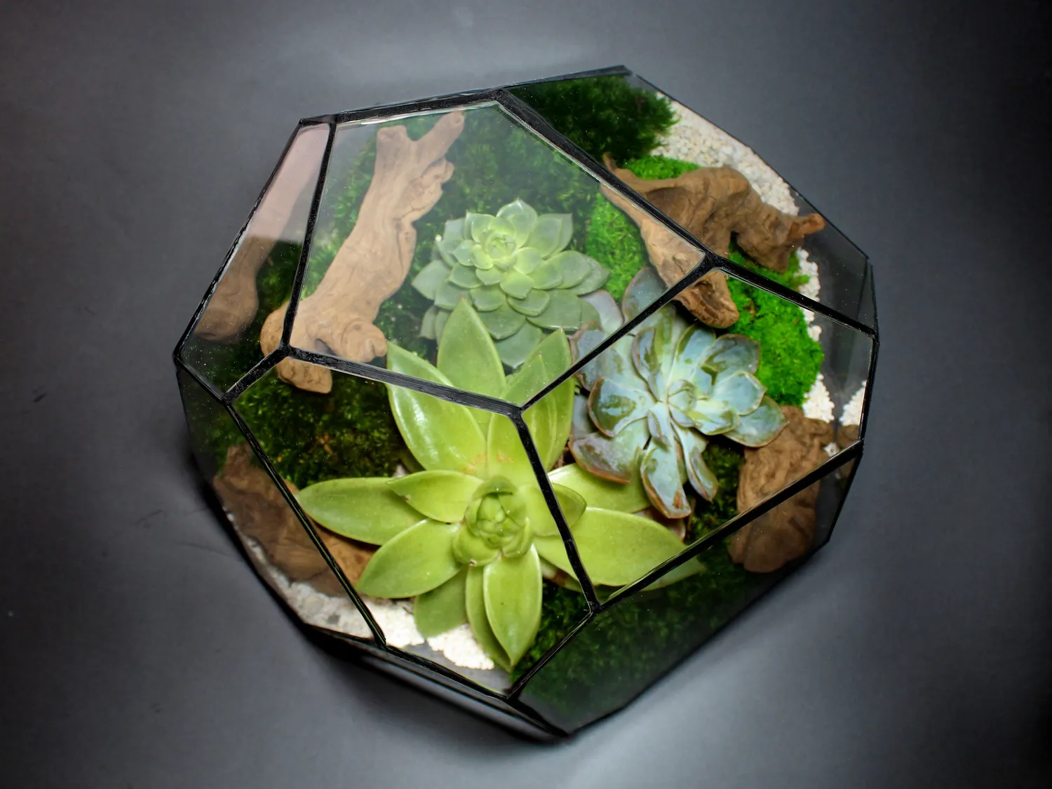 Urbanjungl Torno geometric terrarium glas 28x26x24 cm