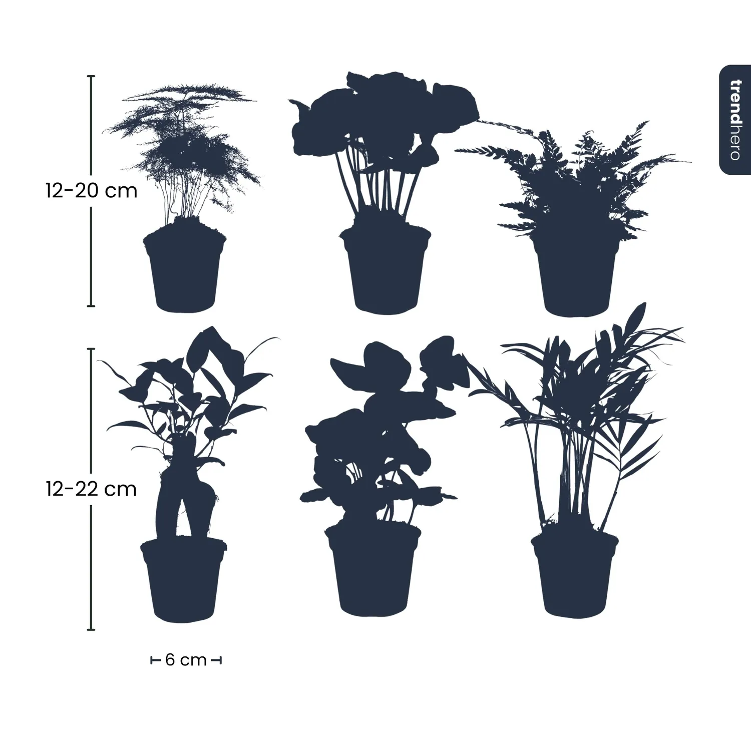 Urbanjungl Planten set 6 groene babyplanten potmaat 6 cm