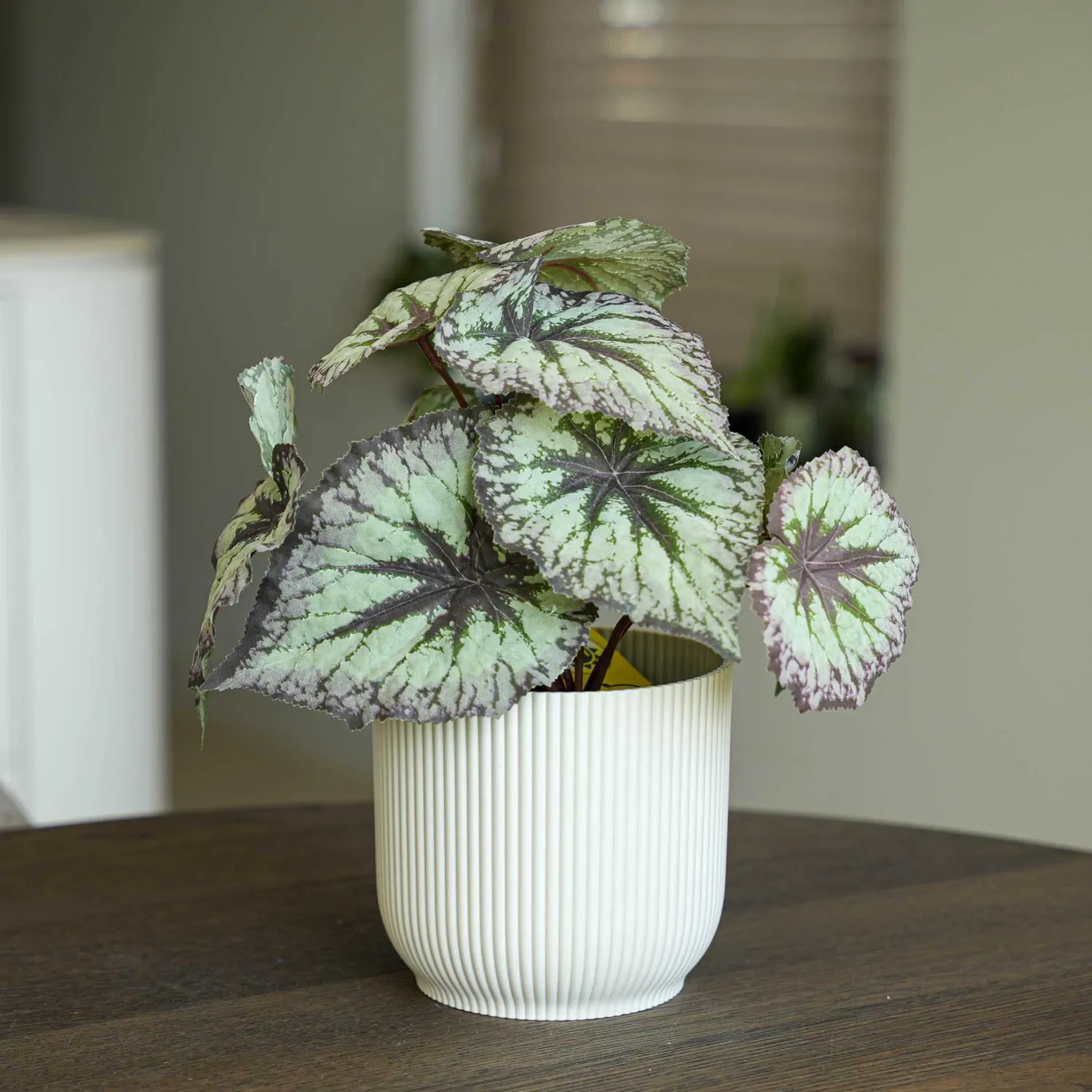 Urbanjungl Begonia kunstplant 26 cm in pot UV-bestendig