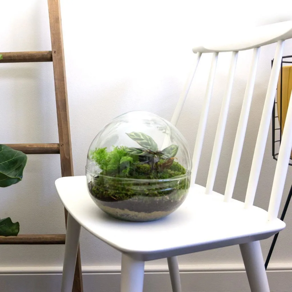 Urbanjungl Dome terrarium DIY kit Ø 20 cm gesloten