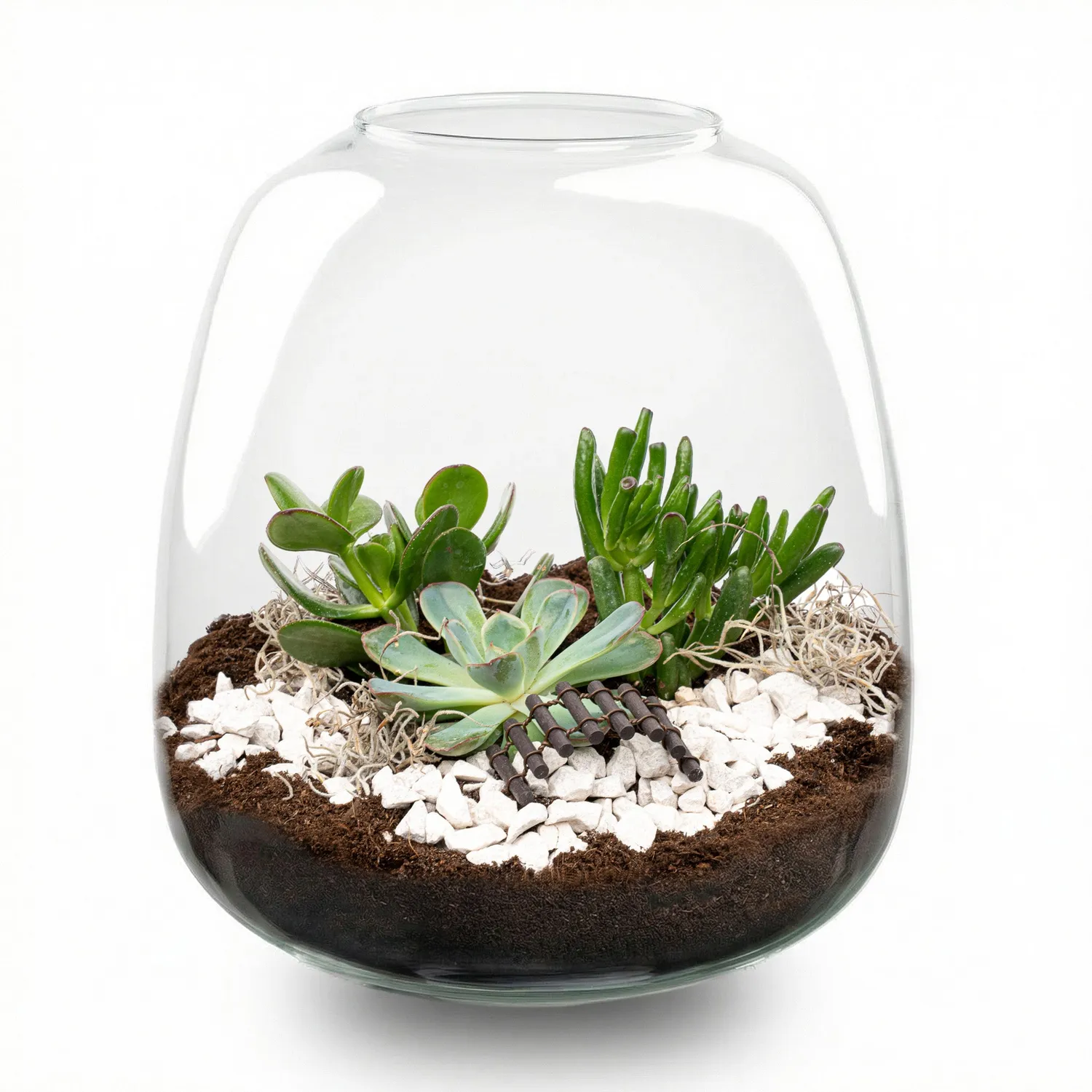 Emma Succulent open terrarium DIY kit Ø23 cm