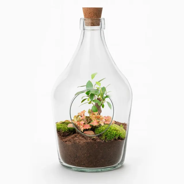 Urbanjungl John open terrarium DIY-kit Ø 16 cm