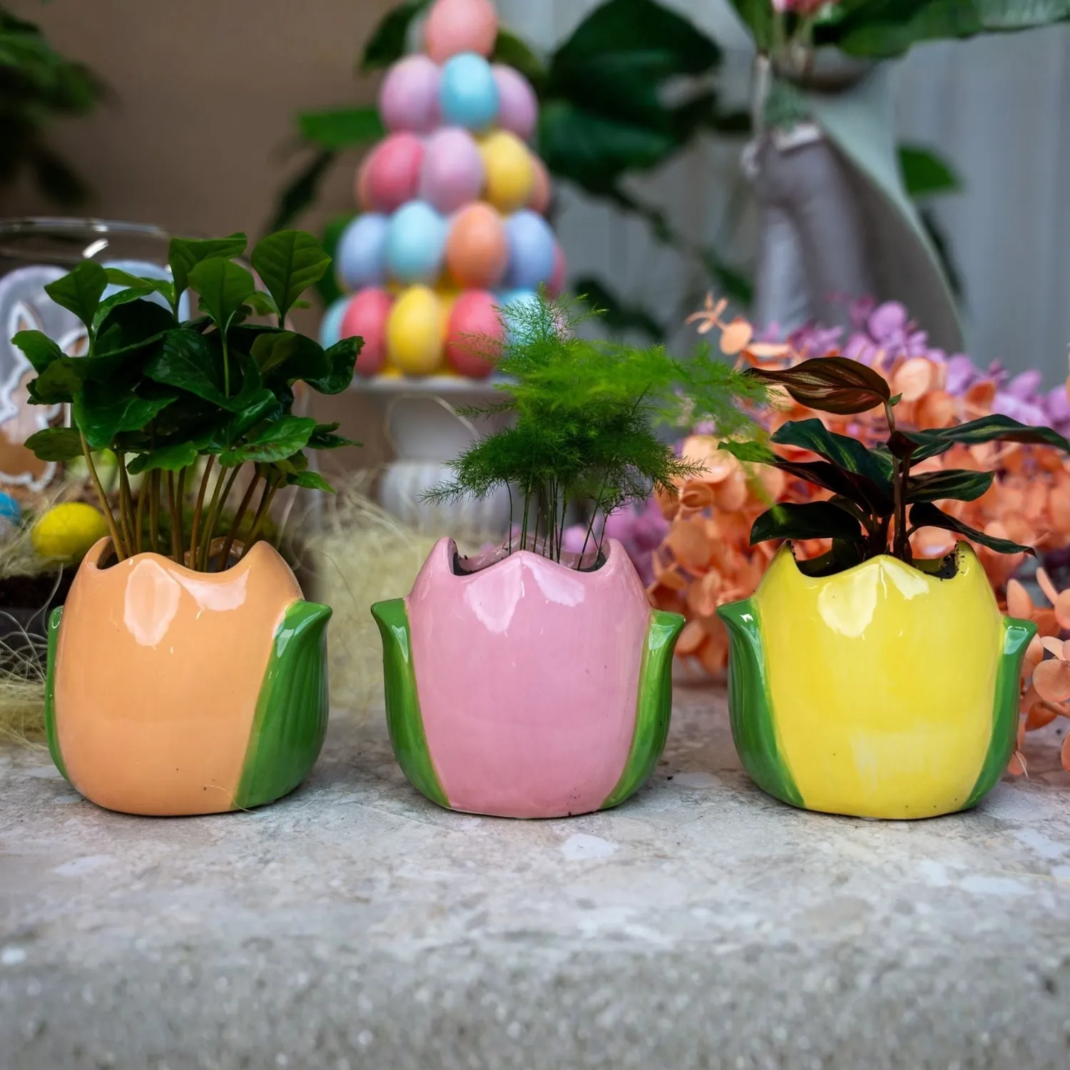 Urbanjungl Paas Plantenpot Set Tulp 3 Stuks met Planten