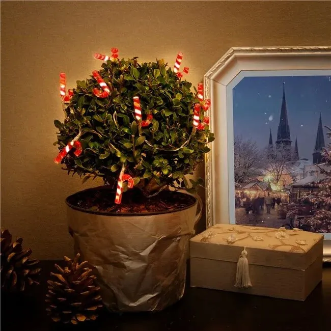 Urbanjungl Candy Canes Lichtsnoer 10 LED Warm Wit