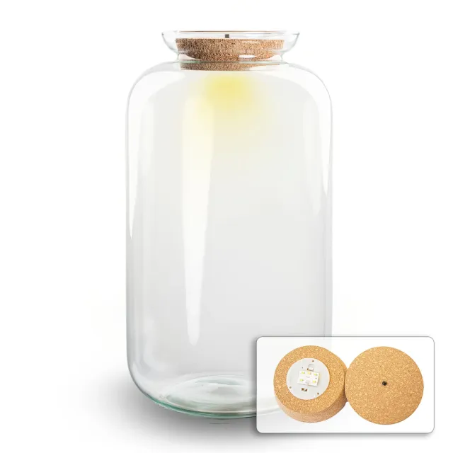 Urbanjungl Sven XL terrarium fles 15L met LED-kurk