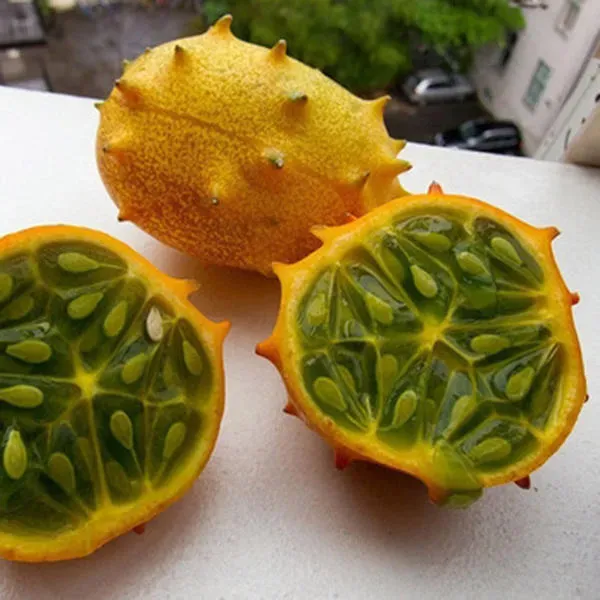 The Natural World Kiwano meloenpeer klimplant