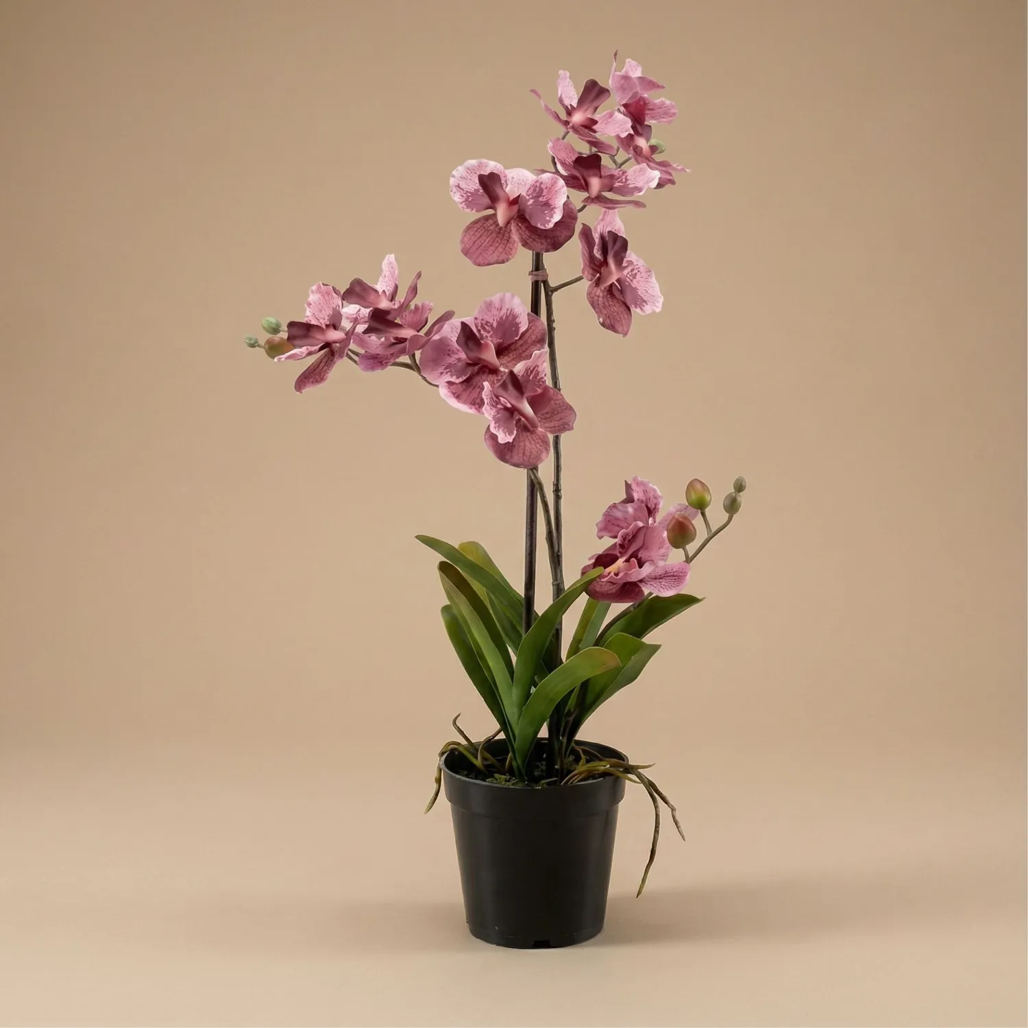 Urbanjungl Vanda orchidee kunstplant oudroze 60 cm pot