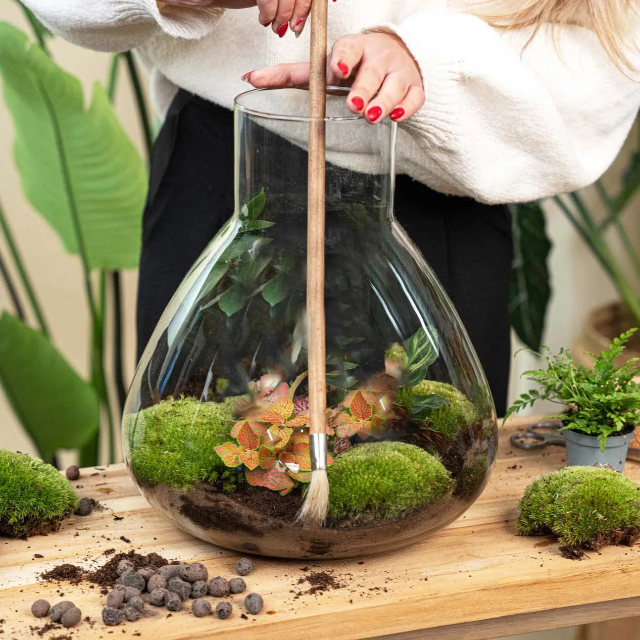 Urbanjungl Planten terrariumborstel hout 60 cm lang