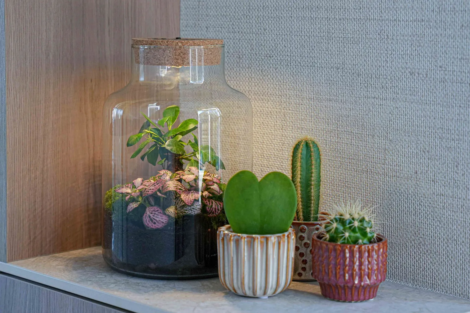 Urbanjungl Little Milky terrarium DIY kit LOVE MOM 25 cm