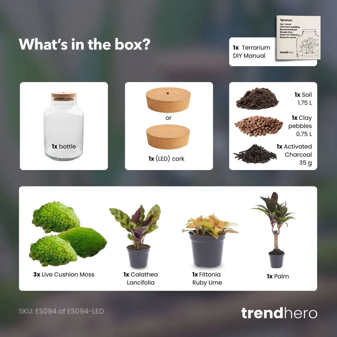 Urbanjungl Milky Palm terrarium DIY kit Ø 21 cm met licht
