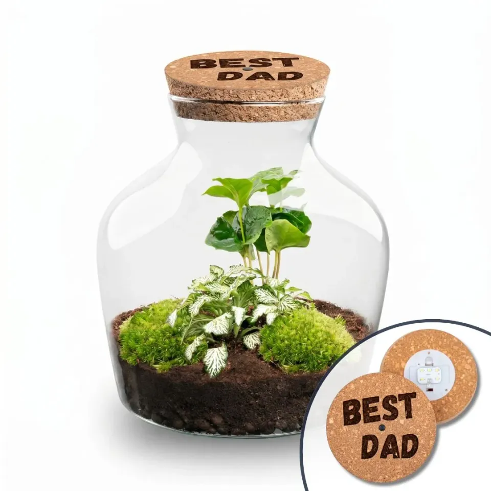 Urbanjungl Little Joe vaderdag terrarium DIY kit 20 cm LED
