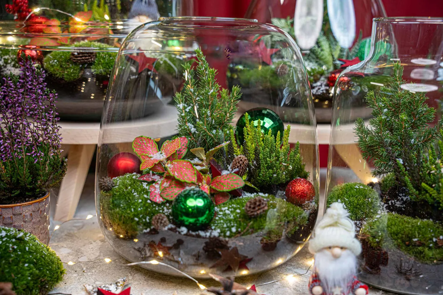 Urbanjungl Berry Christmas terrarium DIY kit Ø 19 cm