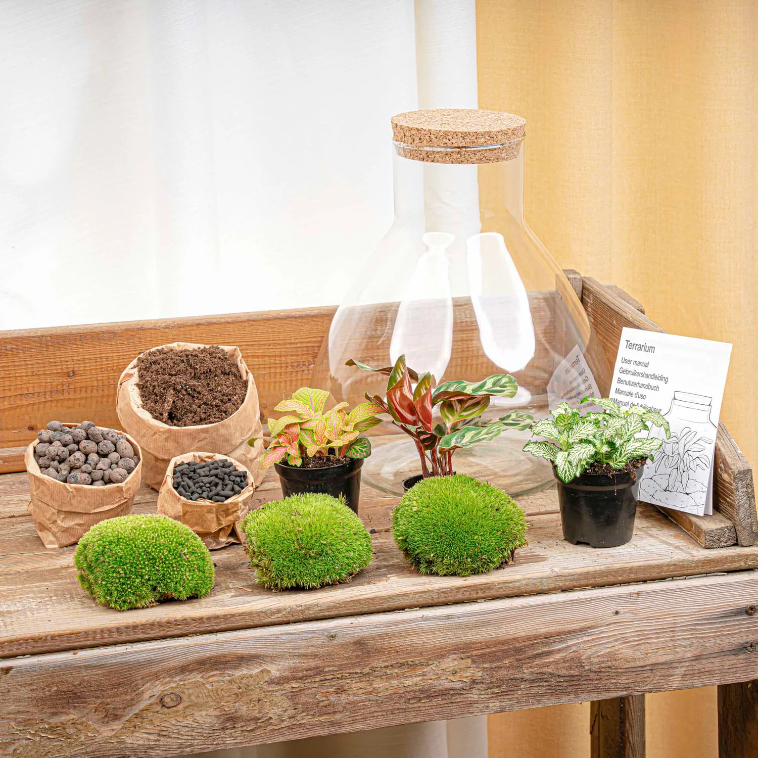 Urbanjungl Sam XL Red planten terrarium met licht