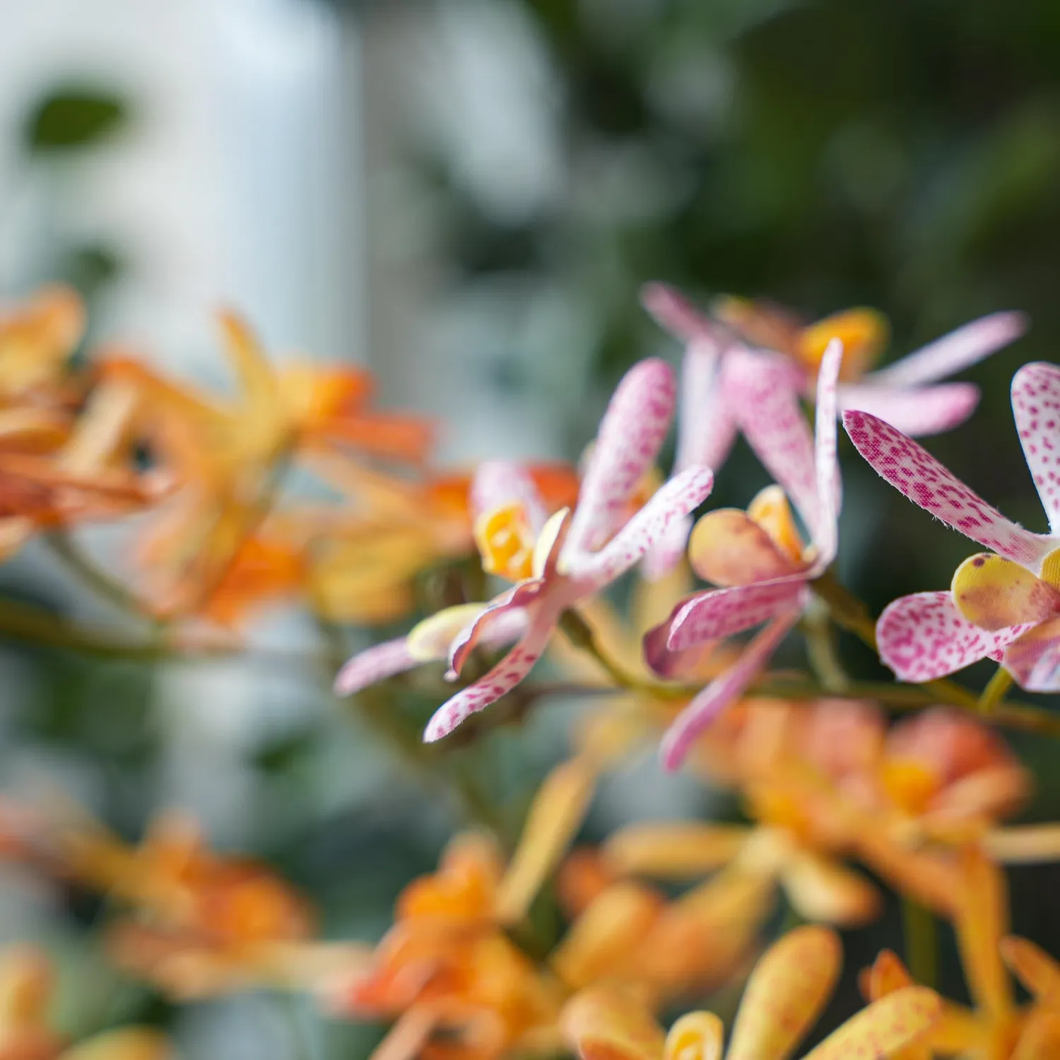 Urbanjungl Renanthera orchidee kunstplanten 2 stuks geel roze