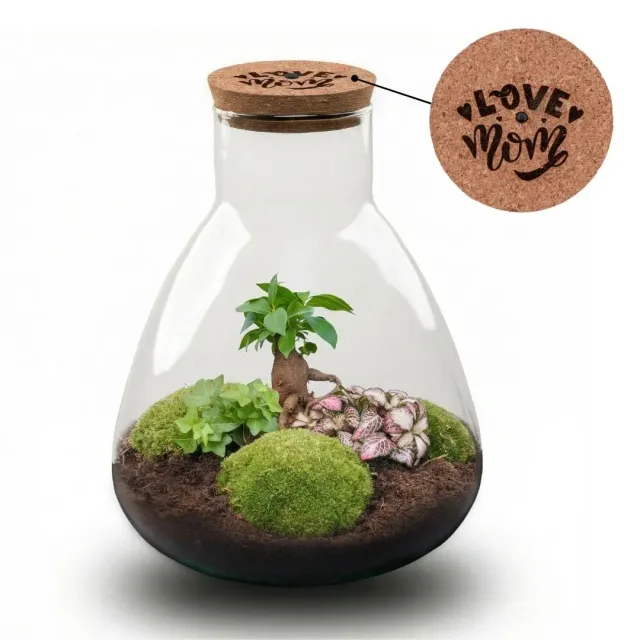 Urbanjungl Sam LOVE MOM terrarium DIY kit met licht