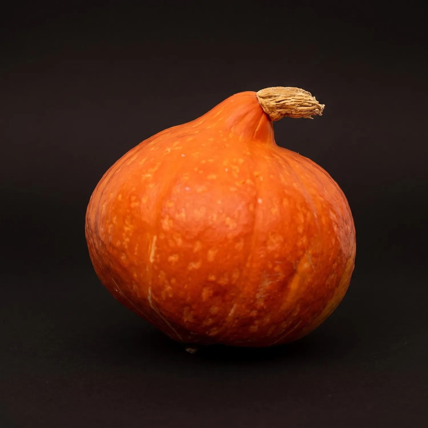 Urbanjungl Hokkaido pompoen deco echt oranje Ø 17 cm 1,5 kg
