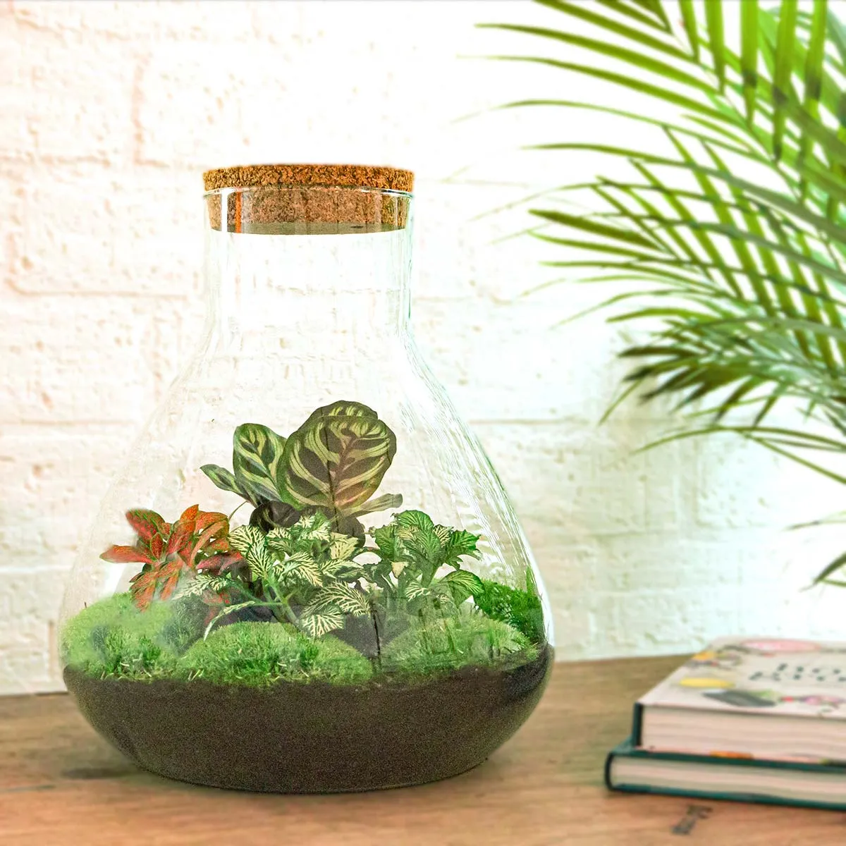 Urbanjungl Sam XL Red planten terrarium met licht
