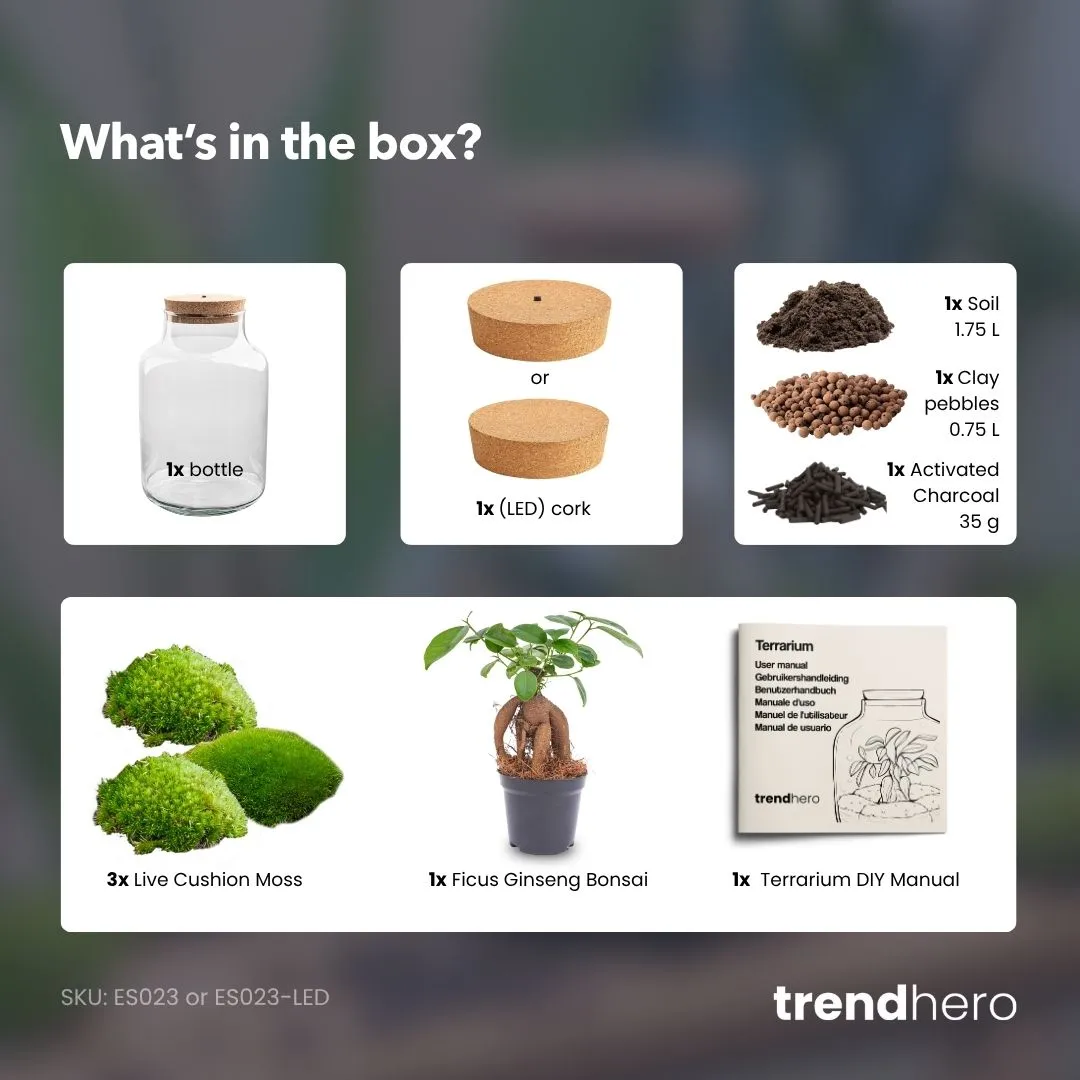 Urbanjungl Milky Bonsai terrarium met licht Ø 21 cm kit