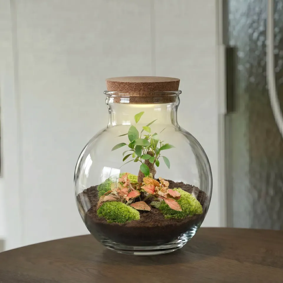 Urbanjungl Teddy Bonsai Rood terrarium DIY kit met licht Ø26 cm