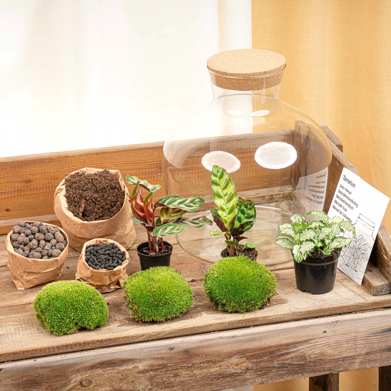 Urbanjungl Fat Joe plantenterrarium DIY kit met licht 29 cm